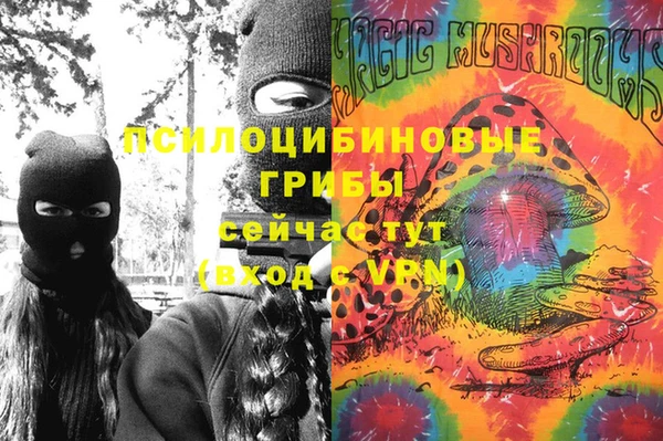 индика Семилуки