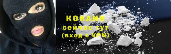 индика Семилуки