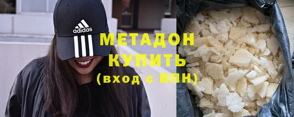 прущие грибы Горняк
