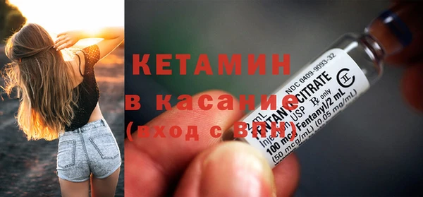 прущие грибы Горно-Алтайск