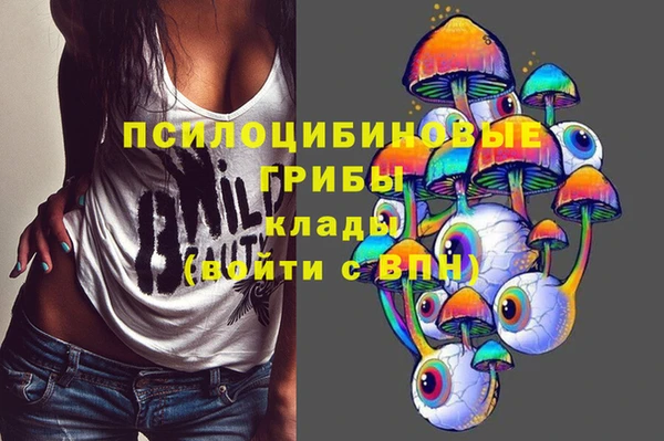 стаф Вяземский