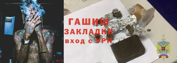 прущие грибы Горно-Алтайск