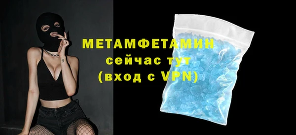 индика Семилуки