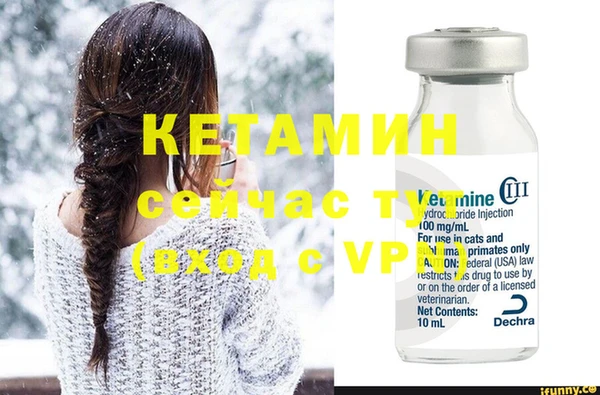 прущие грибы Горно-Алтайск