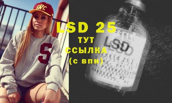 прущие грибы Горно-Алтайск