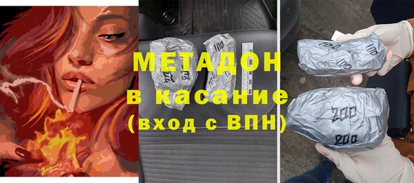 прущие грибы Горняк