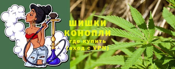 прущие грибы Горняк