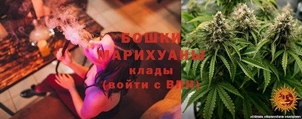 стаф Вяземский